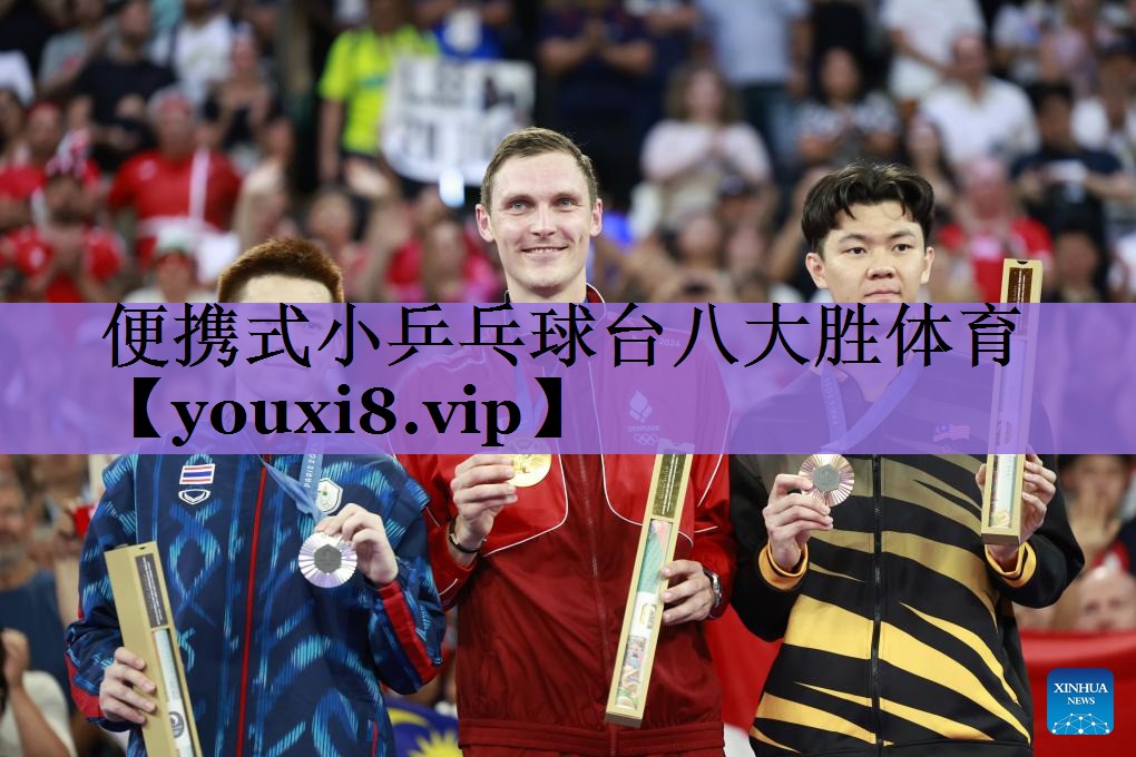 便携式小乒乓球台八大胜体育