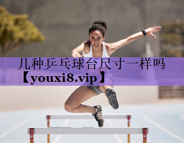 几种乒乓球台尺寸一样吗