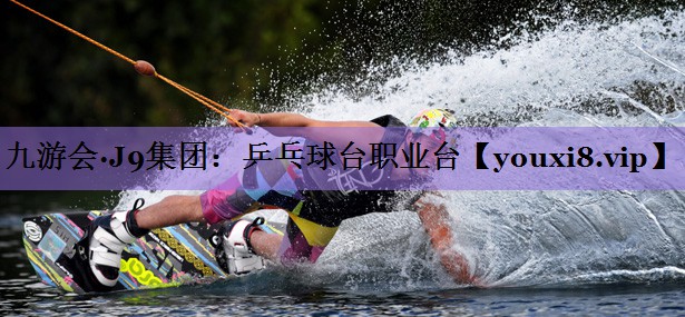乒乓球台职业台