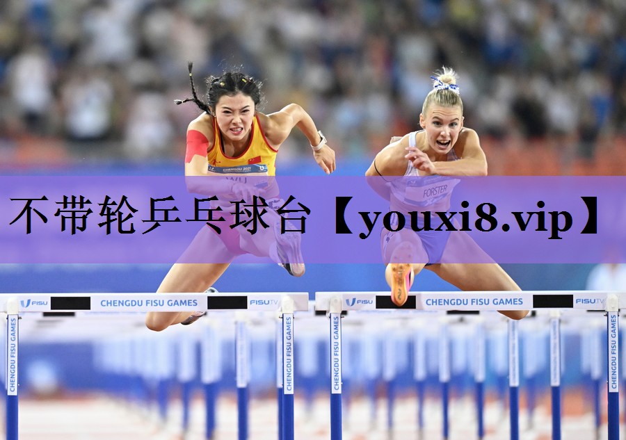不带轮乒乓球台